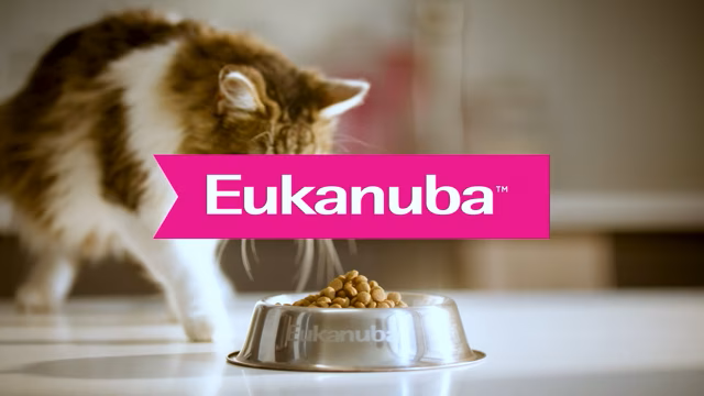 EUKANUBA CELOS 20s_PRORESHQ